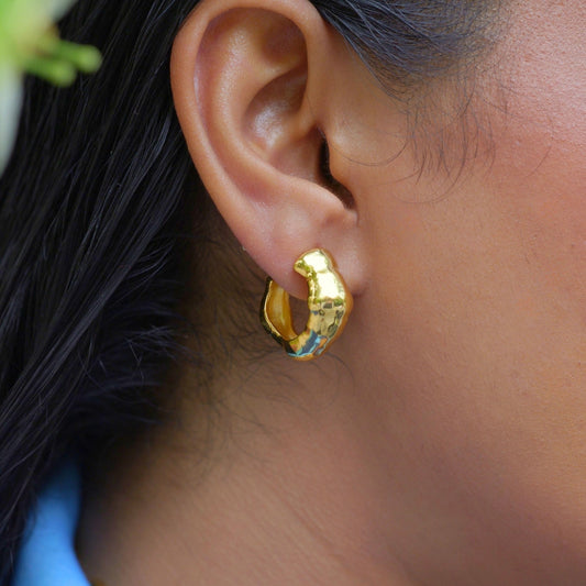 Pretty Voyage Hoop Earrings